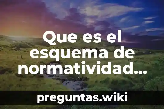 Que es el esquema de normatividad contabilidad