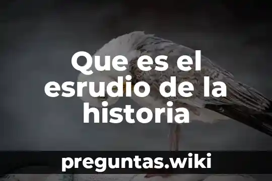 Que es el esrudio de la historia