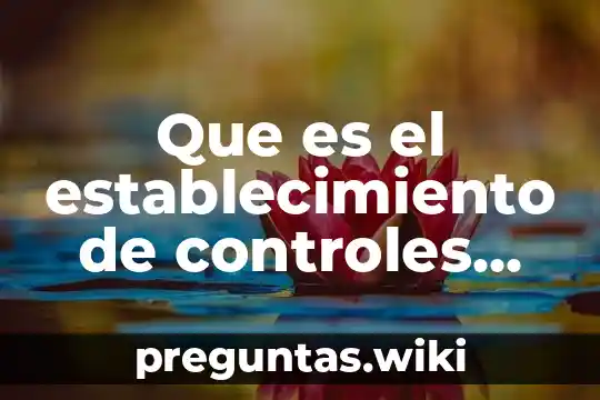 Que es el establecimiento de controles por medio del estado