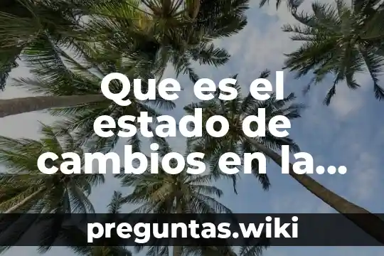 Que es el estado de cambios en la situcion financiera