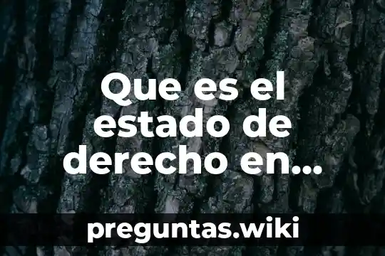 Que es el estado de derecho en derecho penal