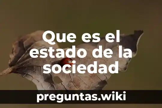 Que es el estado de la sociedad