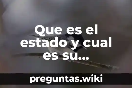 Que es el estado y cual es su importancia