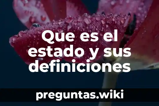 Que es el estado y sus definiciones
