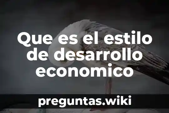 Que es el estilo de desarrollo economico