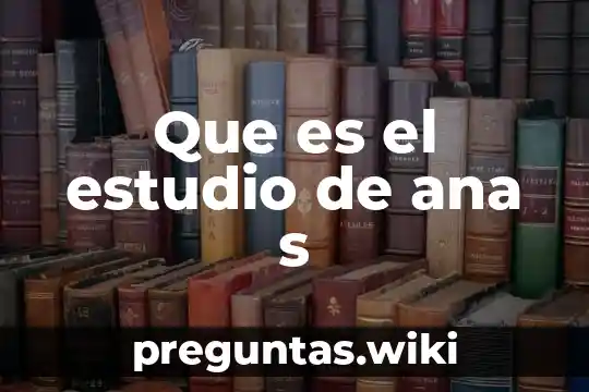 Que es el estudio de ana s