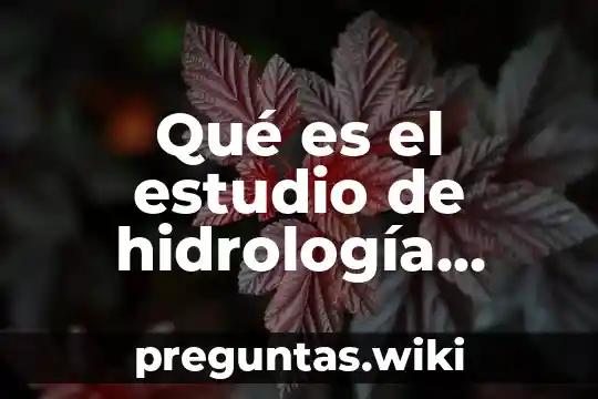 Qué es el estudio de hidrología superficial y o subterránea