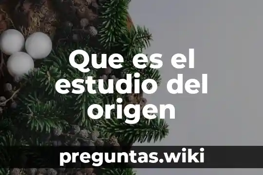 Que es el estudio del origen