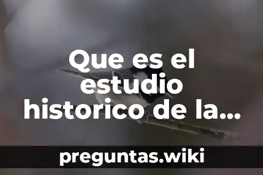 Que es el estudio historico de la investigacion participativa