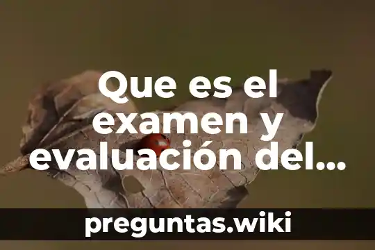 Que es el examen y evaluación del control interno