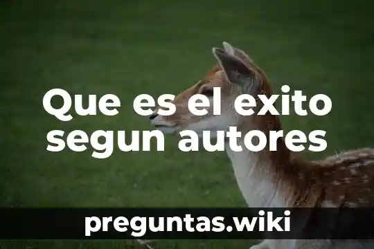Que es el exito segun autores
