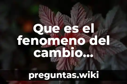 Que es el fenomeno del cambio climatico