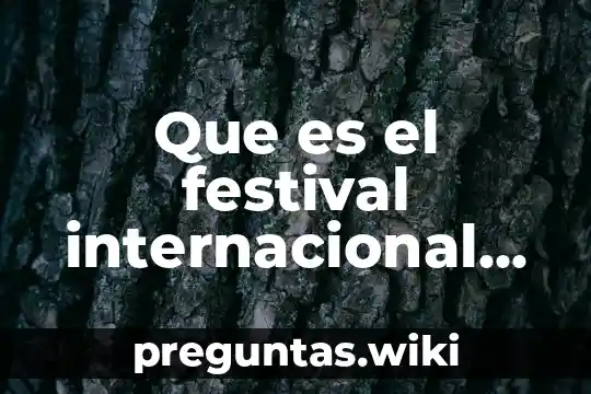 Que es el festival internacional del cine guanajuato