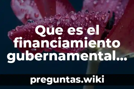 Que es el financiamiento gubernamental en mexico