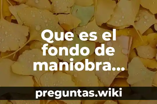 Que es el fondo de maniobra ejemplos