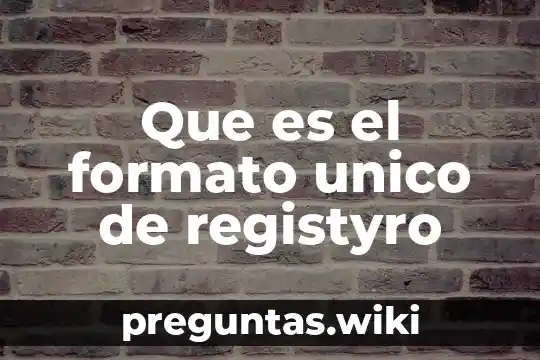 Que es el formato unico de registyro