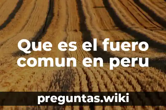 Que es el fuero comun en peru