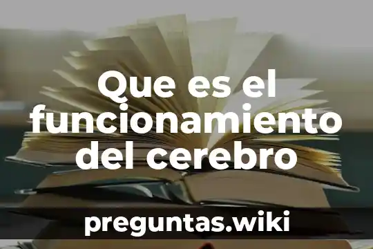 Que es el funcionamiento del cerebro