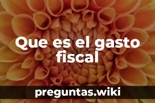 Que es el gasto fiscal