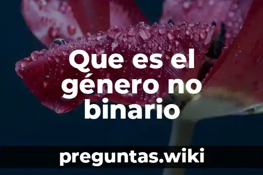 Que es el género no binario