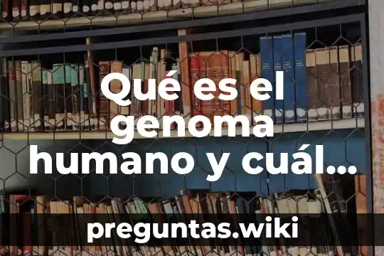 Qué es el genoma humano y cuál es su función