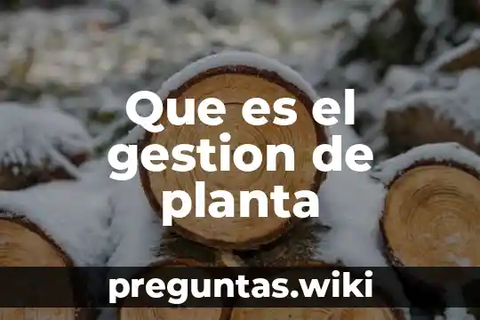 Que es el gestion de planta