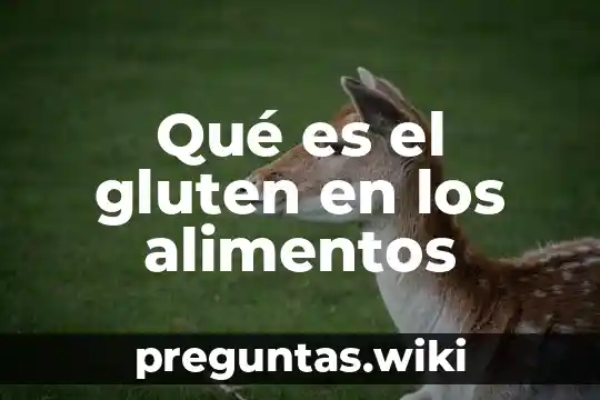 Qué es el gluten en los alimentos