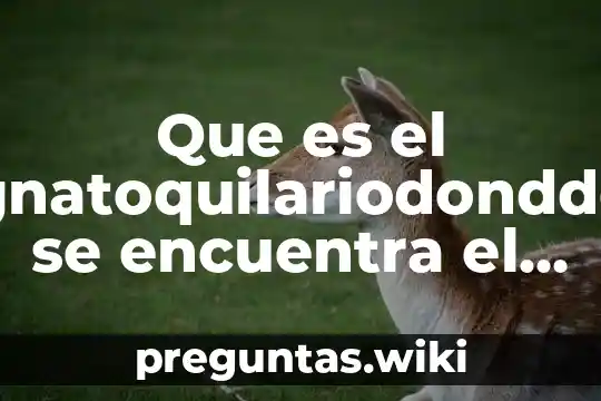 Que es el gnatoquilariodondde se encuentra el organo tomosvary