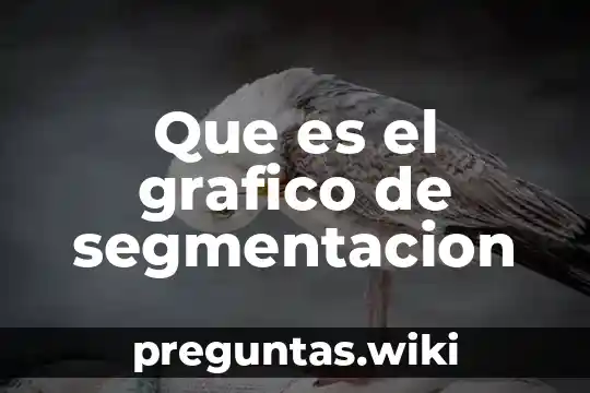Que es el grafico de segmentacion