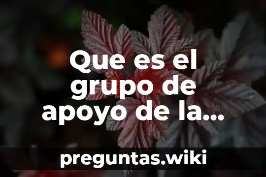 Que es el grupo de apoyo de la contraloria escolar
