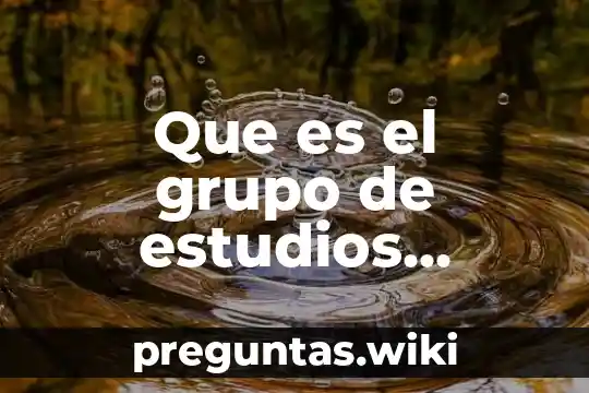 Que es el grupo de estudios ambientales