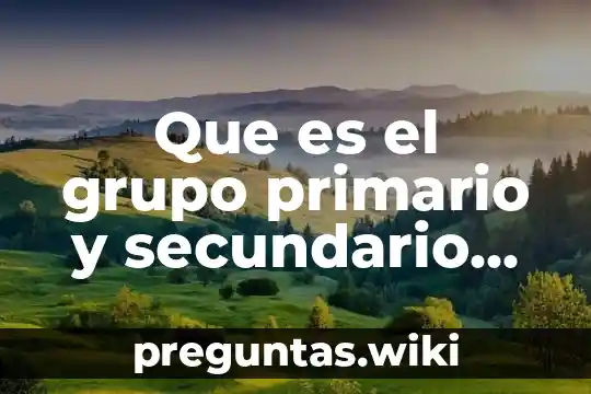 Que es el grupo primario y secundario en sociologia