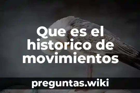 Que es el historico de movimientos