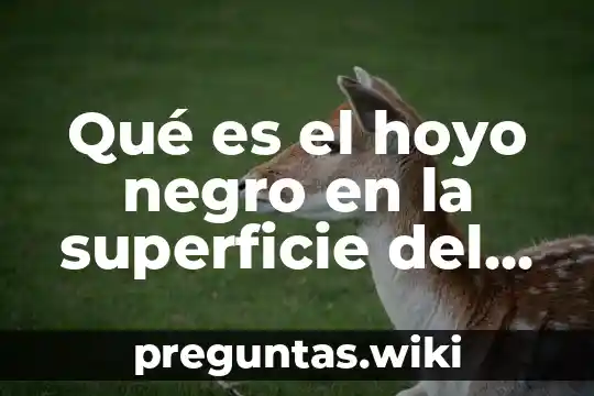 Qué es el hoyo negro en la superficie del Sol