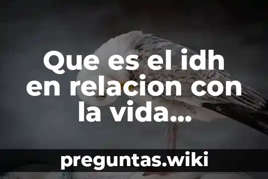 Que es el idh en relacion con la vida cotidiana