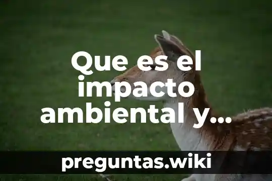 Que es el impacto ambiental y sus caracteristicas