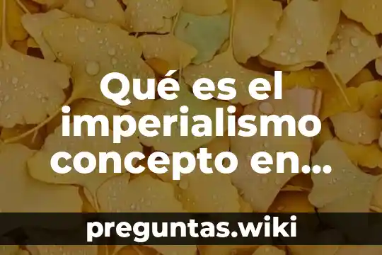 Qué es el imperialismo concepto en historia
