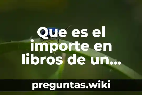 Que es el importe en libros de un activo