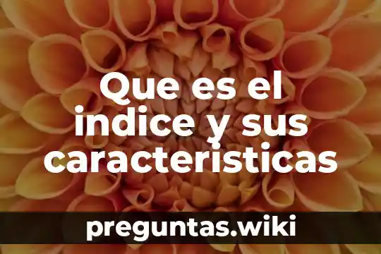 Que es el indice y sus caracteristicas