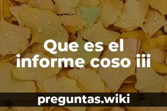 Que es el informe coso iii