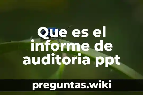 Que es el informe de auditoria ppt