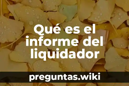 Qué es el informe del liquidador