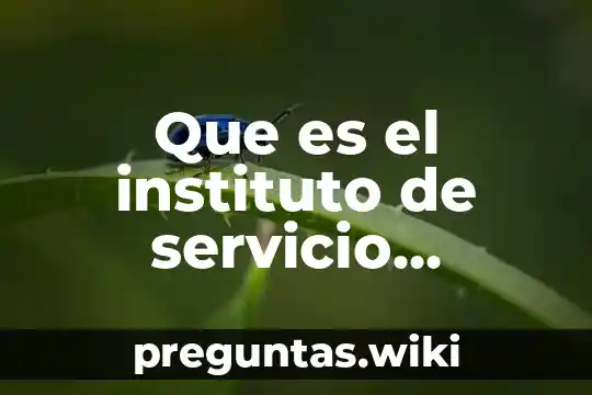 Que es el instituto de servicio catastral
