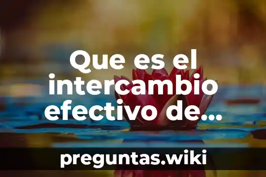 Que es el intercambio efectivo de información significado
