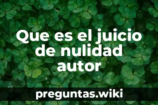 Que es el juicio de nulidad autor