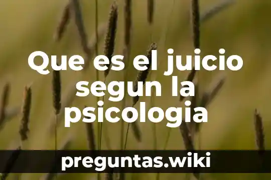 Que es el juicio segun la psicologia