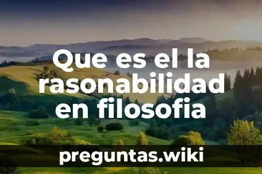Que es el la rasonabilidad en filosofia
