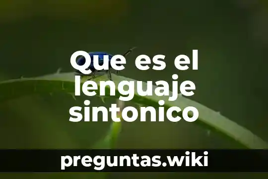 Que es el lenguaje sintonico