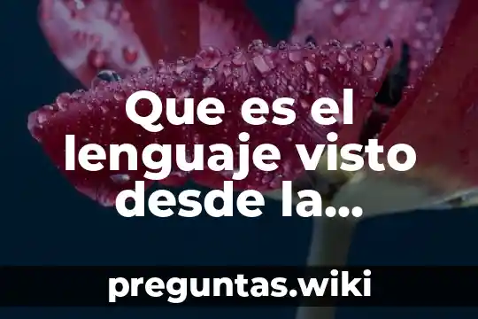 Que es el lenguaje visto desde la filosofia