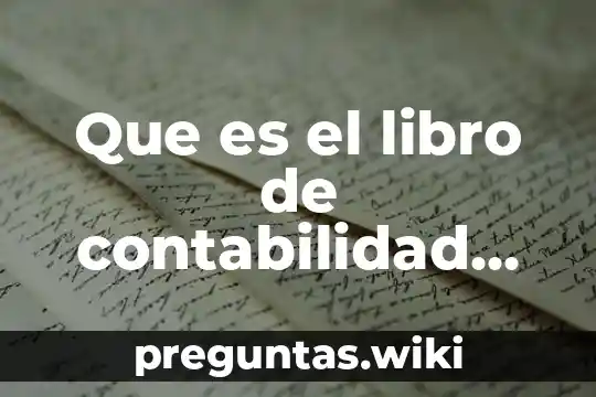 Que es el libro de contabilidad de ansi